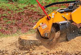 Best Firewood Processing and Delivery  in Sunrise Beach Village, TX